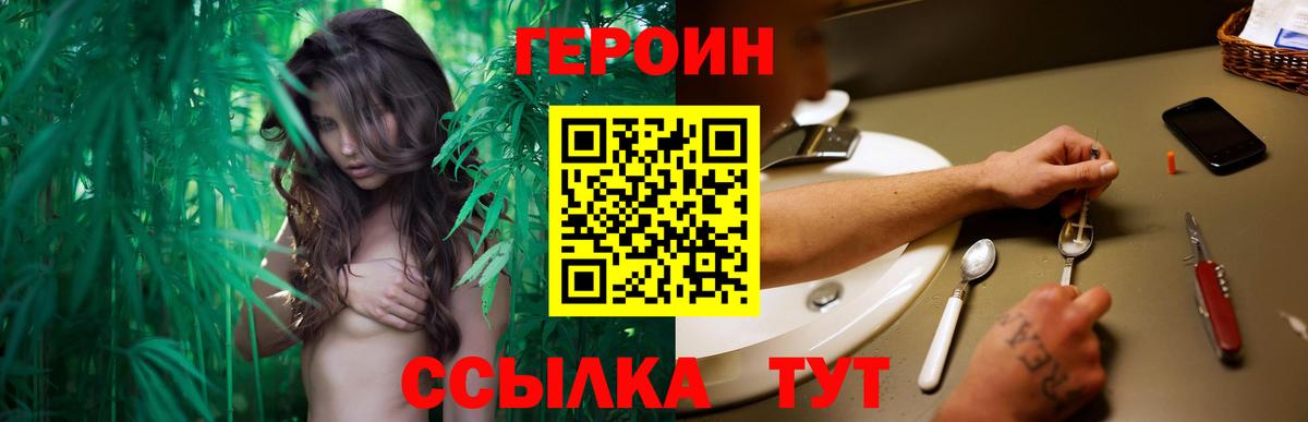 ГЕРОИН хмурый Великий Устюг