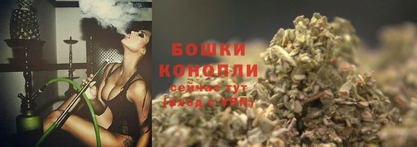 дмт Новозыбков