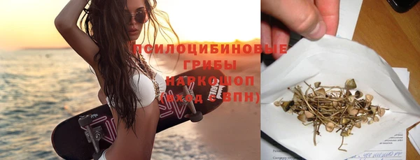 ешки Новодвинск
