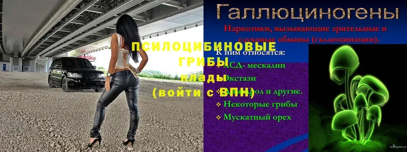 Галлюциногенные грибы ЛСД Великий Устюг