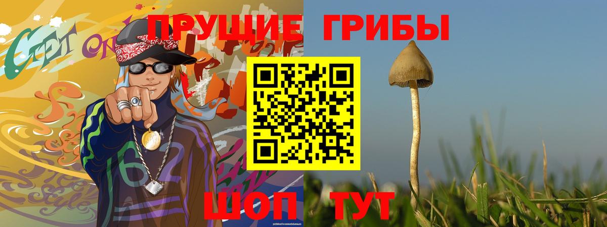 Галлюциногенные грибы ЛСД Великий Устюг