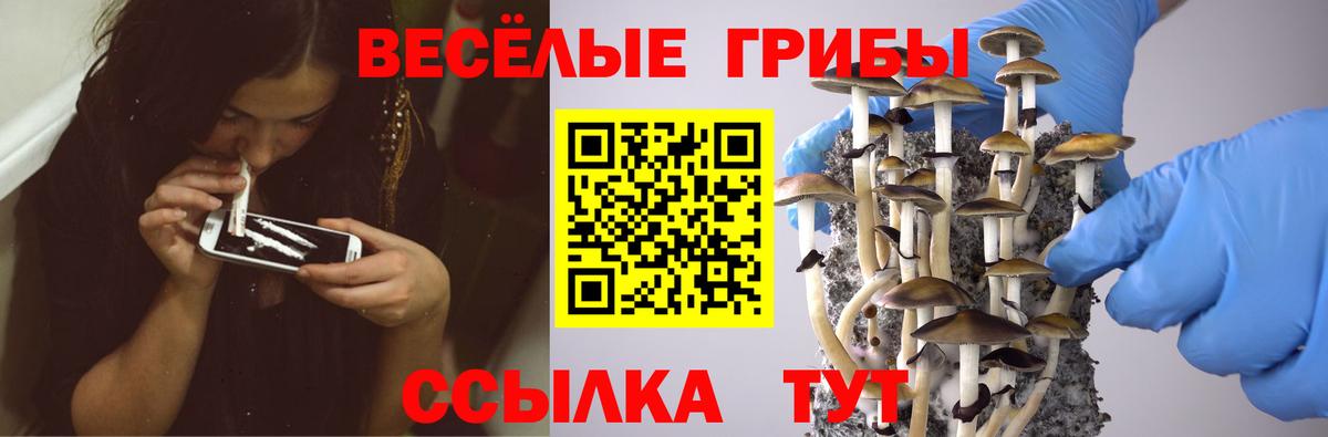 Великий Устюг  Галлюциногенные грибы Cubensis  Вход с VPN 