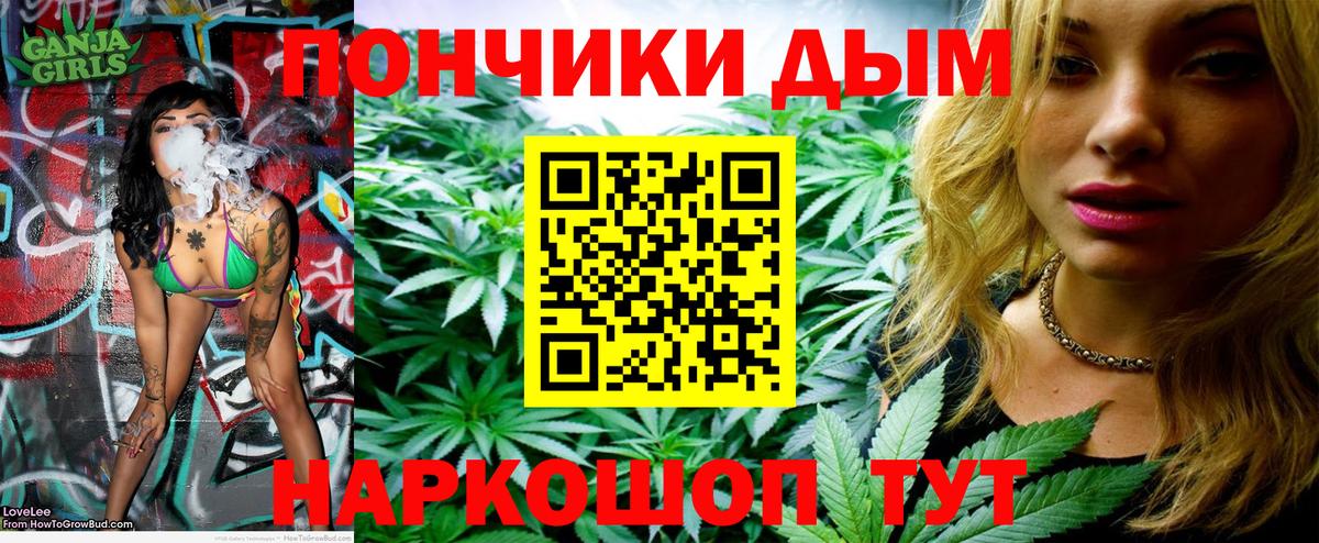 Бошки марихуана конопля Великий Устюг